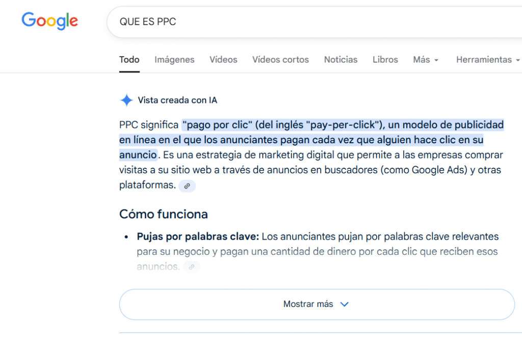 IA overview en Google